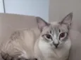 Lili