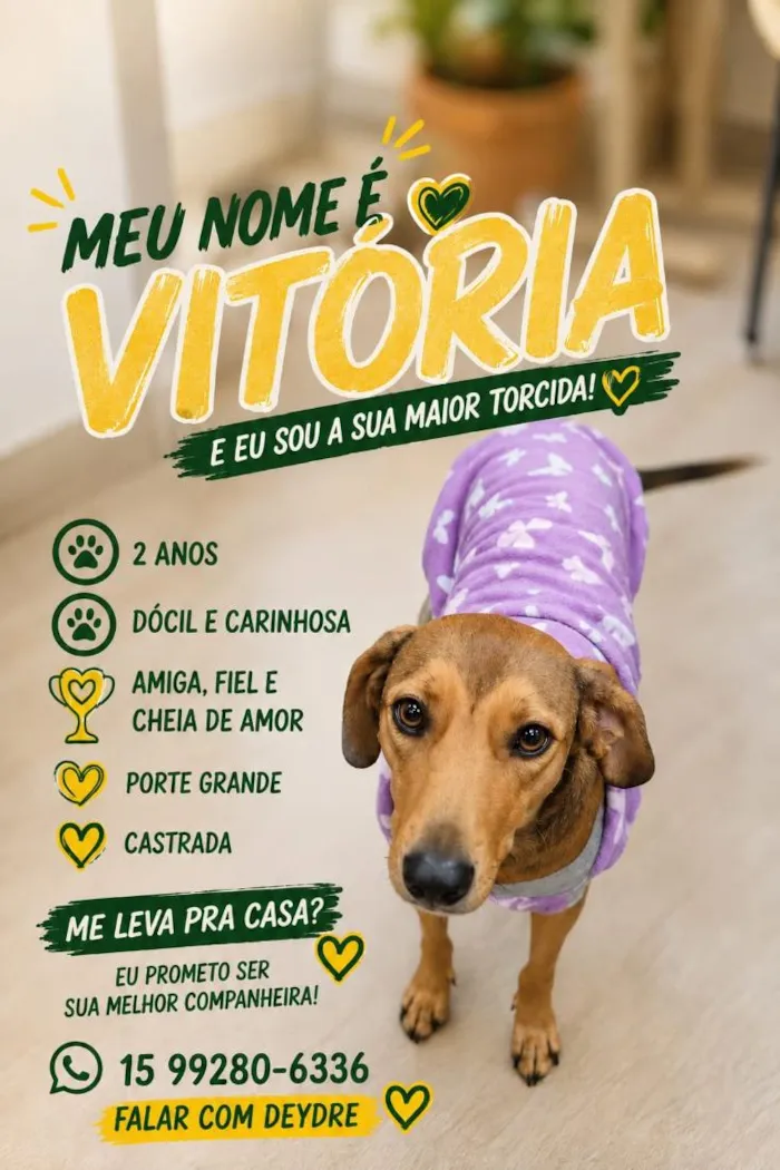 Cachorro raça SRD-ViraLata idade 2 anos nome Vitória