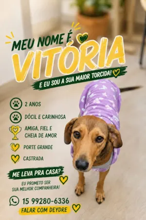 Cachorro raça SRD-ViraLata idade 2 anos nome Vitória