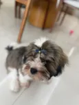 Lua