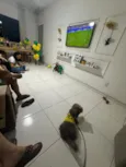 Lua