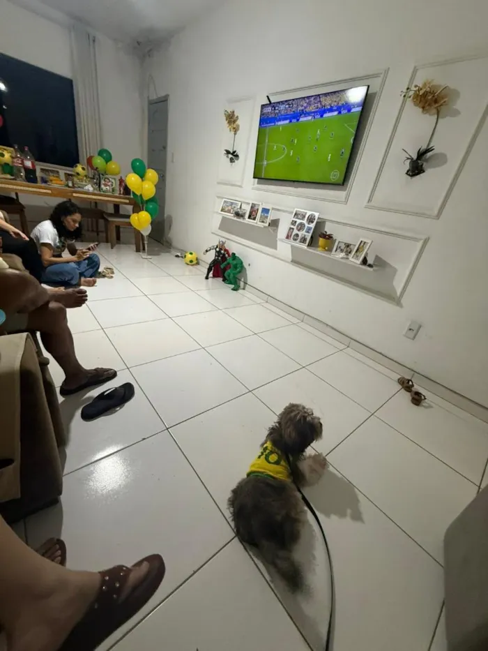 Cachorro raça SRD-ViraLata idade 2 a 6 meses nome Lua
