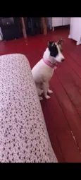 Maia 