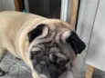 Ted