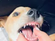 Nala Maria
