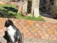 Naruto, loky,Sabrina,Ana Karina,