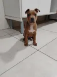 Charlene