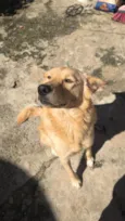 Marley 