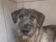 Lindão 