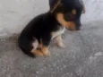 não tem nome defenido