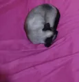 Zoe