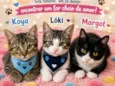 Koya / Lóki e Margot 