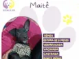 Maitê