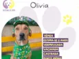 Olivia