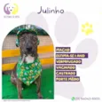 Julinho