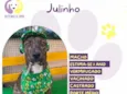 Julinho