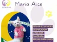 Maria Alice