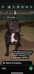Negão