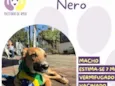 Nero