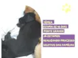 Zezé Motta
