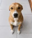 Neguinha
