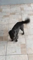 Nina