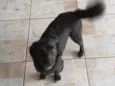 Nina