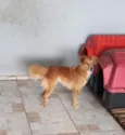 Rita
