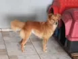 Rita
