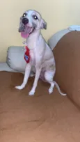 Kyara