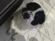 Ella
