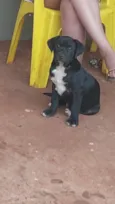 Spike