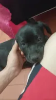 Spike