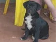 Spike
