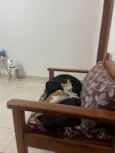 Otto