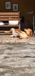 Fiona