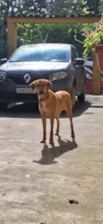 Fiona