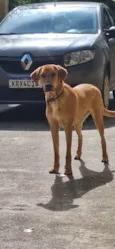 Fiona