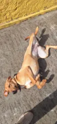 Fiona