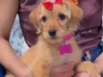 Frida