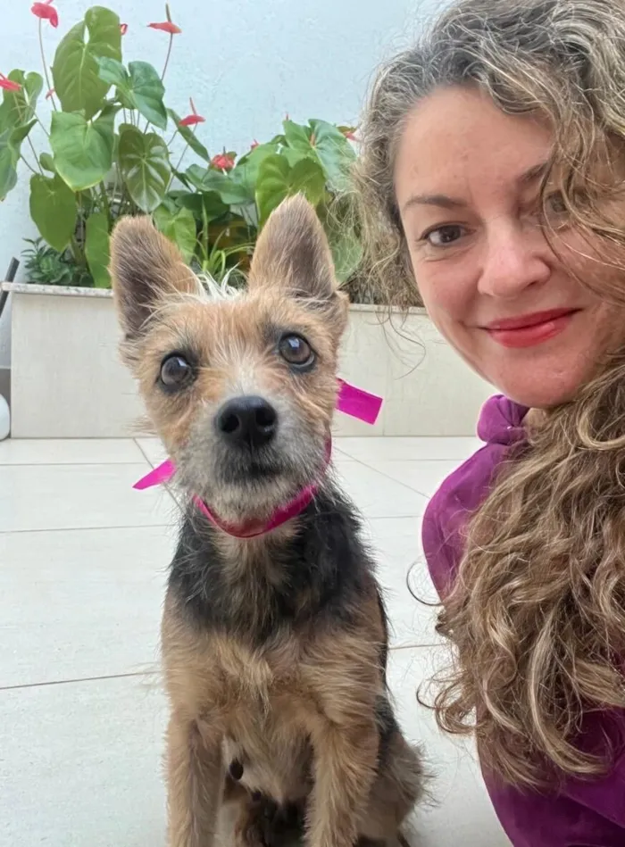 Cachorro raça SRD-ViraLata idade 1 ano nome Mel