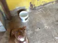Kiara