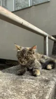 Matilda