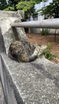 Matilda
