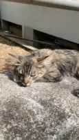Matilda