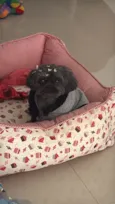 Nina