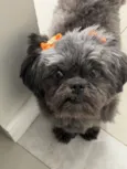 Nina