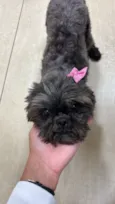 Nina
