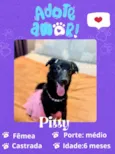 Pitty
