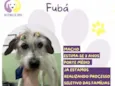 Fubá